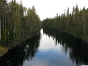 Karelische Moorlandschaft