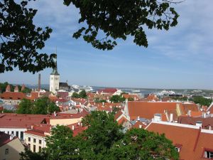 Blick von der 'Klippe' auf den unteren Teil der Altstadt von Tallinn